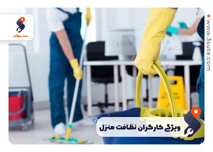 ویژگی کارگران نظافت منزل